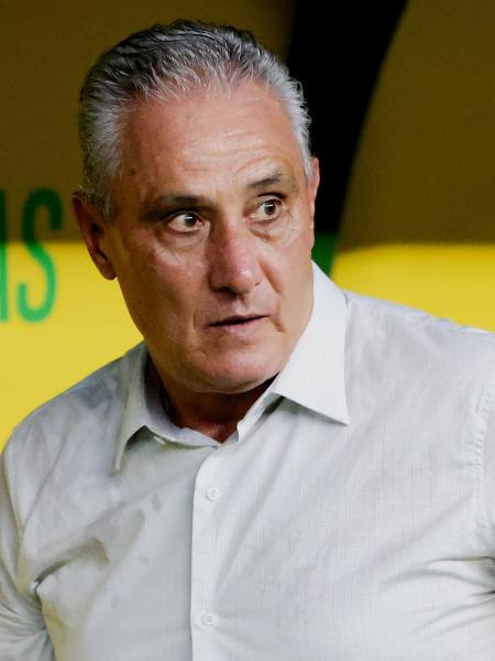 Tite, técnico do Flamengo, pediu mais carinho da torcida