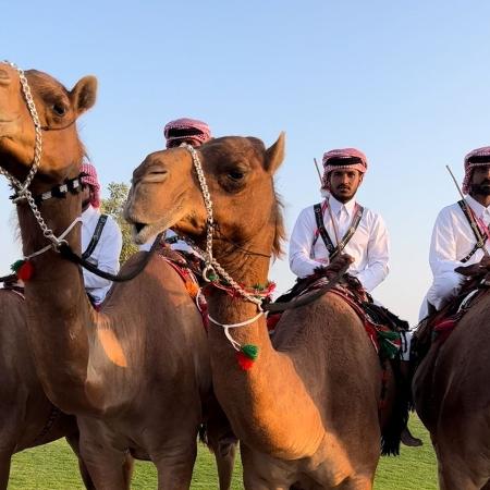 Polícia do Qatar aparece montada em camelos no dia da abertura da Copa do Mundo de 2022. - Juca Kfouri