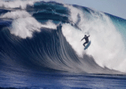 Quem é o jovem australiano que impressionou Kelly Slater em onda insana - Instagram/@ned_hart