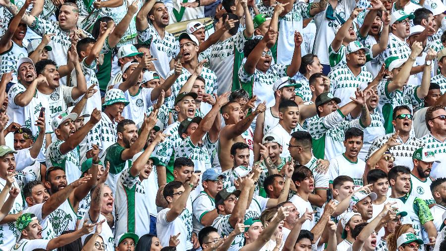 Torcedores do Palmeiras presentes no Allianz Parque contra o Atlético-MG, pelo Brasileirão 2022 - Marcello Zambrana/AGIF