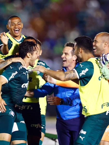 Jogadores do Palmeiras comemoram golaço de Raphael Veiga contra o Botafogo-SP pelo Paulistão - Thiago Calil/AGIF