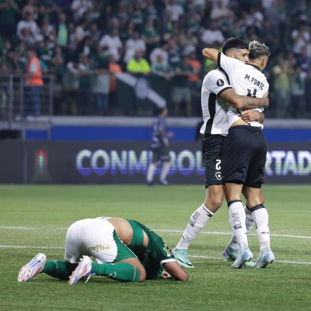 Jogadores do Botafogo comemoram classificação, enquanto atletas do Palmeiras lamentam eliminação na Copa Libertadores