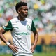 Primeiro gol e encontro com Messi: Estêvão tenta adiar adeus no Palmeiras