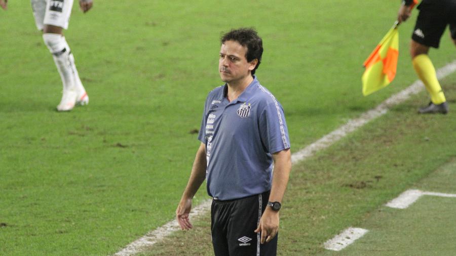 Fernando Diniz está suspenso para a próxima partida do Santos - Fernanda Luz/AGIF