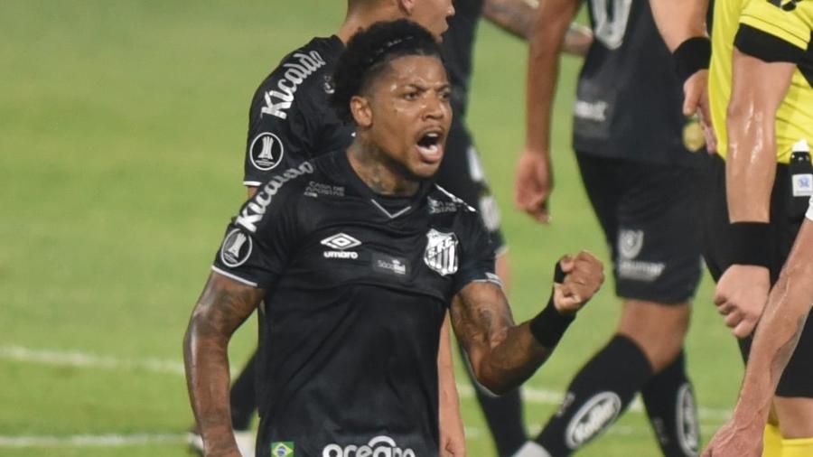 Marinho comemora gol do Santos contra o Olímpia (PAR) em jogo da Libertadores 2020 - Divulgação/Santos FC