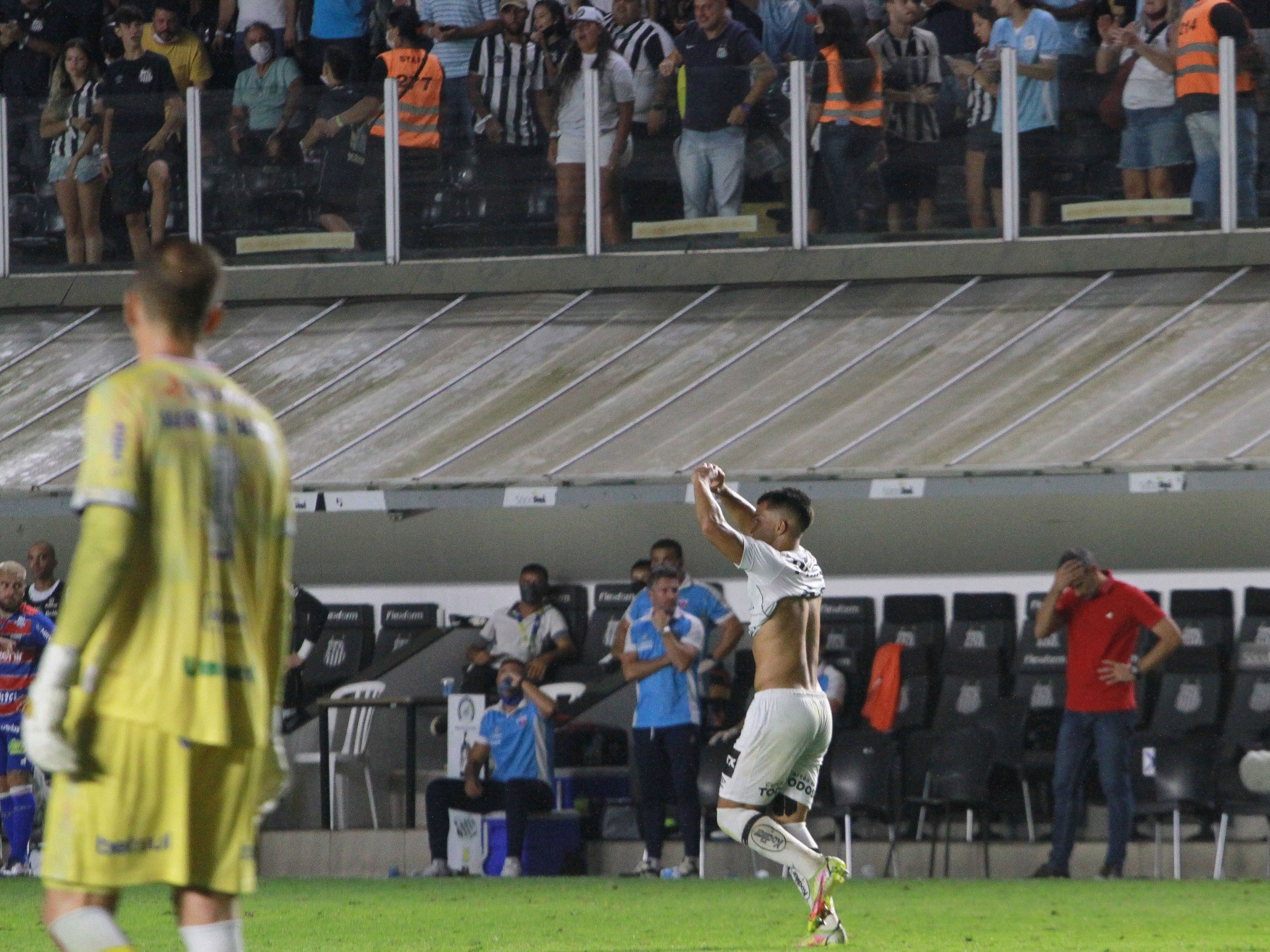 Santos terá mudanças para jogo decisivo contra o Fortaleza pela última  rodada do Brasileirão - PRADO AGORA