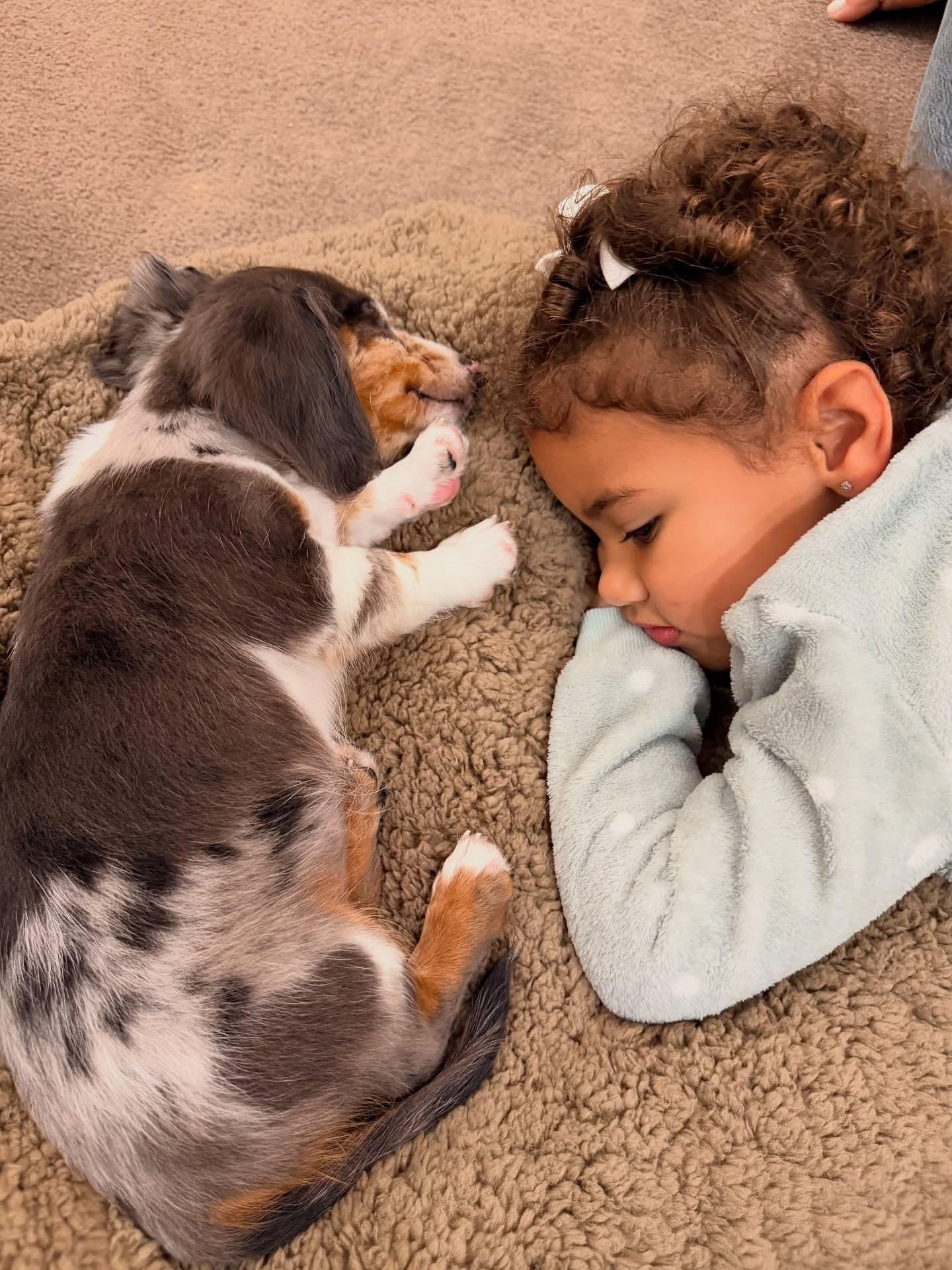 Família Neymar tem um novo integrante, um cachorrinho - undefined