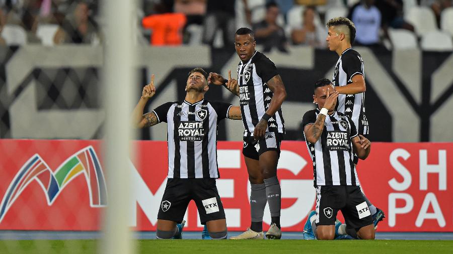 Jogadores do Botafogo comemoram gol diante do Macaé - Thiago Ribeiro/AGIF