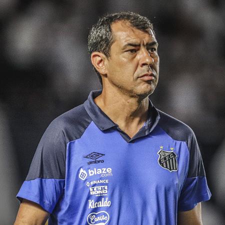 Fábio Carille, técnico do Santos, durante jogo contra a Portuguesa pelo Paulistão