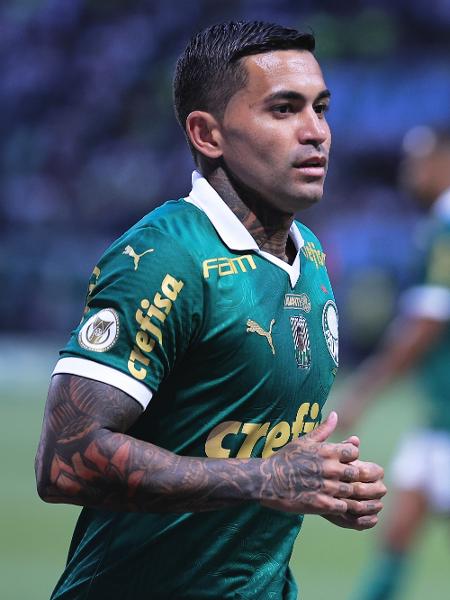 Dudu, do Palmeiras