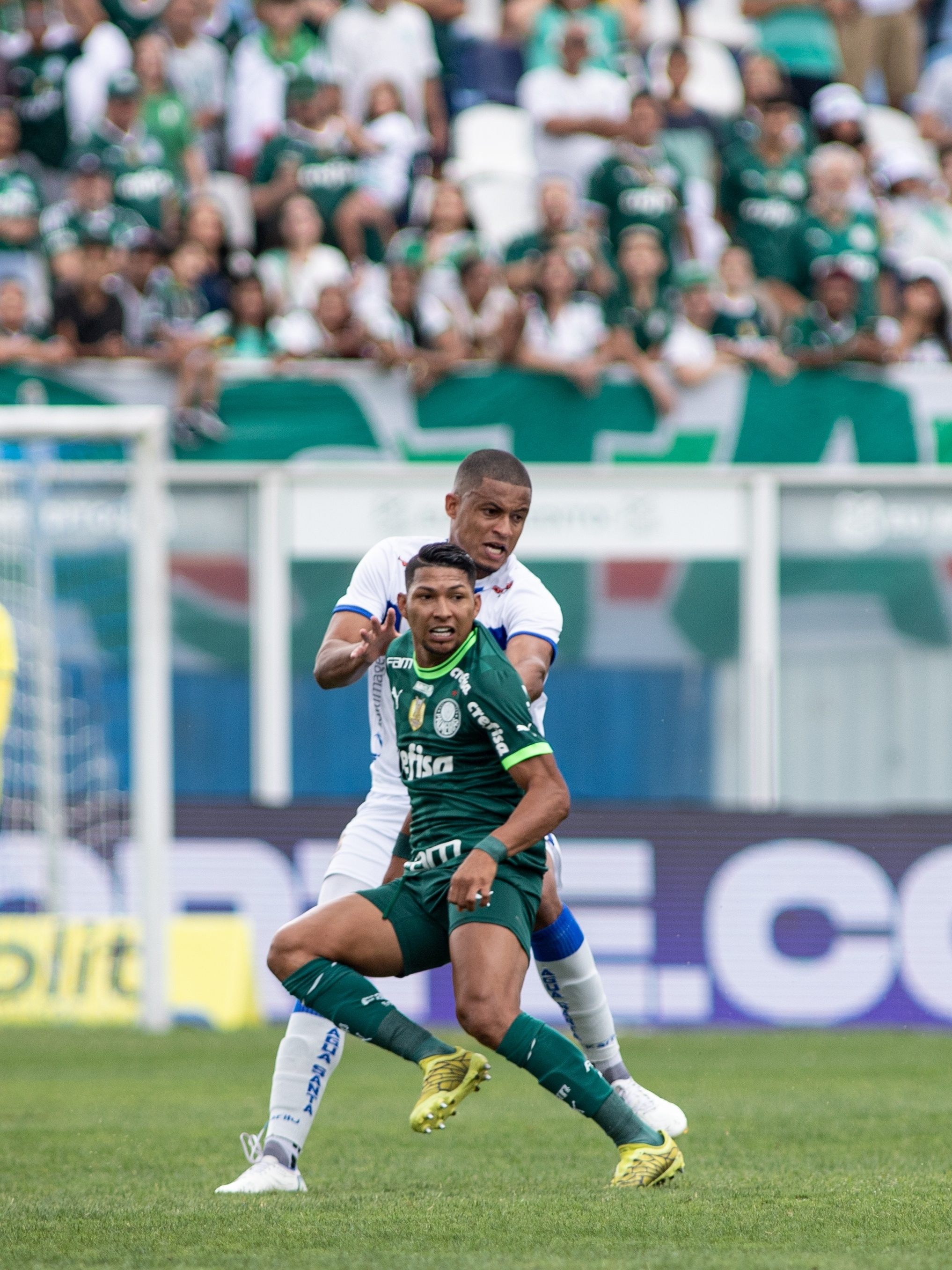 Assistir Água Santa x Palmeiras ao vivo Grátis HD 02/04/2023 -  !