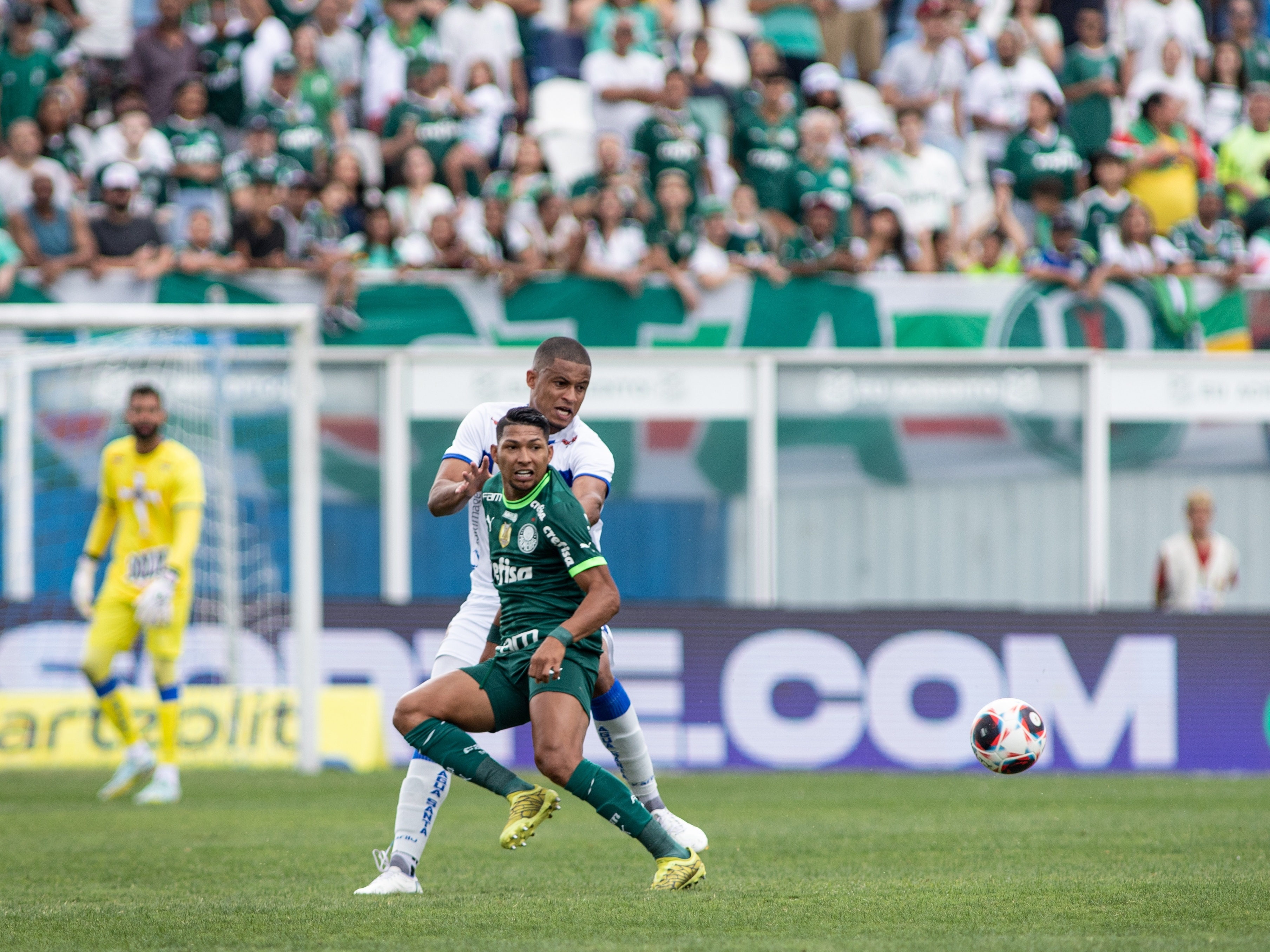 Assistir Água Santa x Palmeiras ao vivo Grátis HD 02/04/2023 -  !