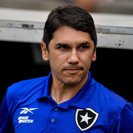 Lucio Flávio, técnico interino do Botafogo, durante jogo contra o Fluminense, pelo Campeonato Brasileiro