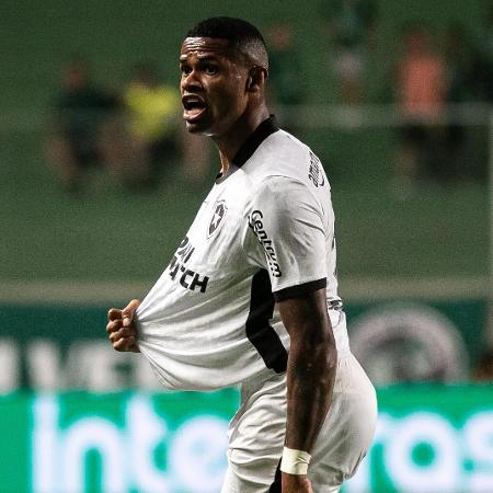 Júnior Santos, do Botafogo, celebra gol contra o América-MG pelo Campeonato Brasileiro