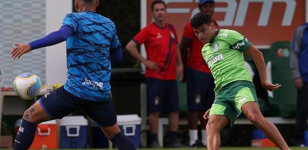 BRUNO RODRIGUES EM BUSCA DA RECUPERAÇÃO! Atacante do Palmeiras mira volta por cima após temporada marcada por lesões!