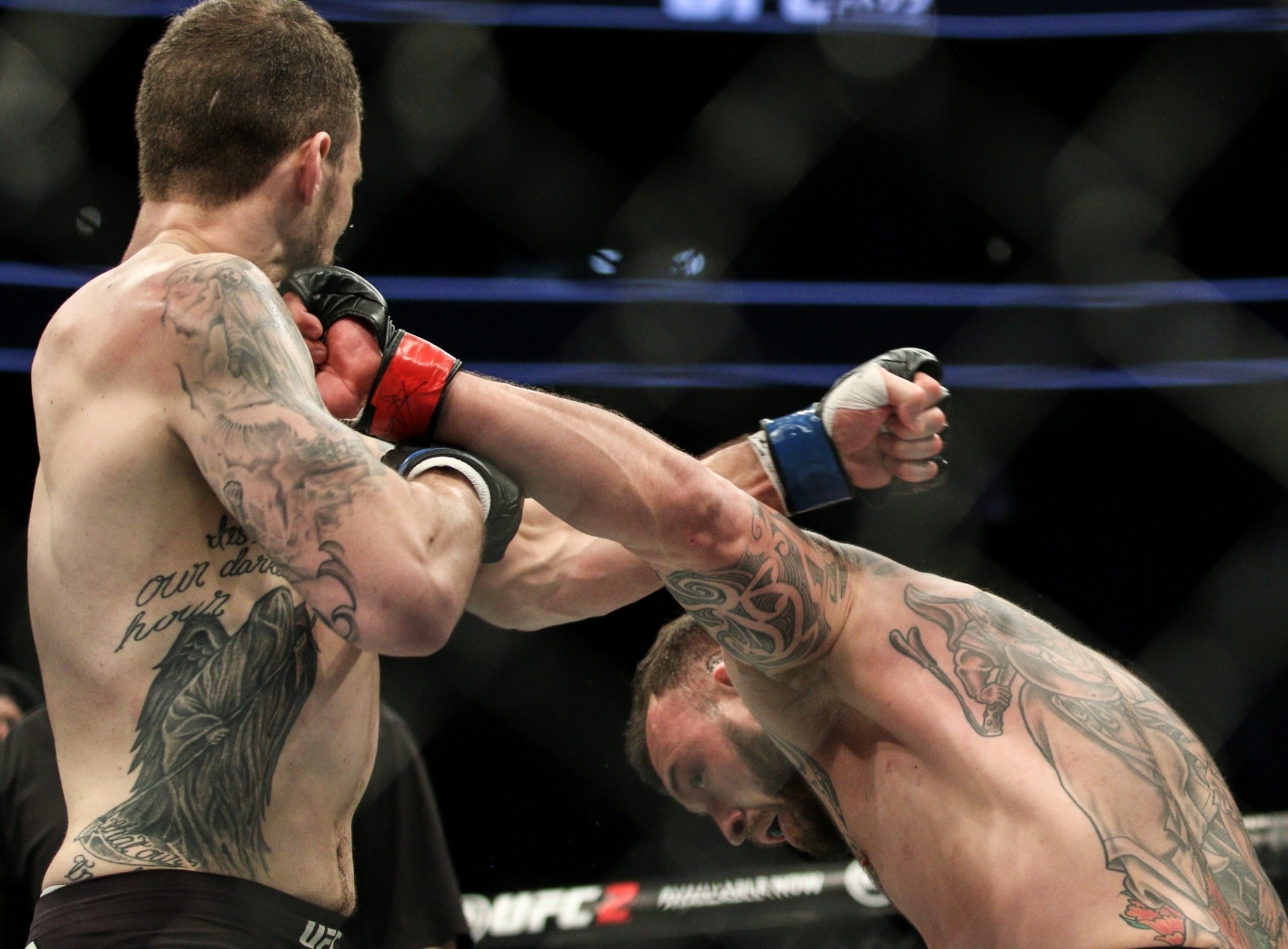 Luta entre o britânico Mark Godbeer e o americano Daniel Spitz - Rigel Salazar/Ag Fight