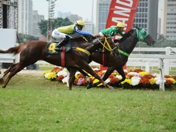 Nunes sanciona lei que proíbe corridas de cavalo em São Paulo