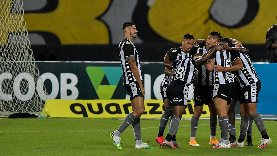 Jogadores do Botafogo comemoram gol de Luiz Fernando contra o Atlético-MG - Thiago Ribeiro/AGIF