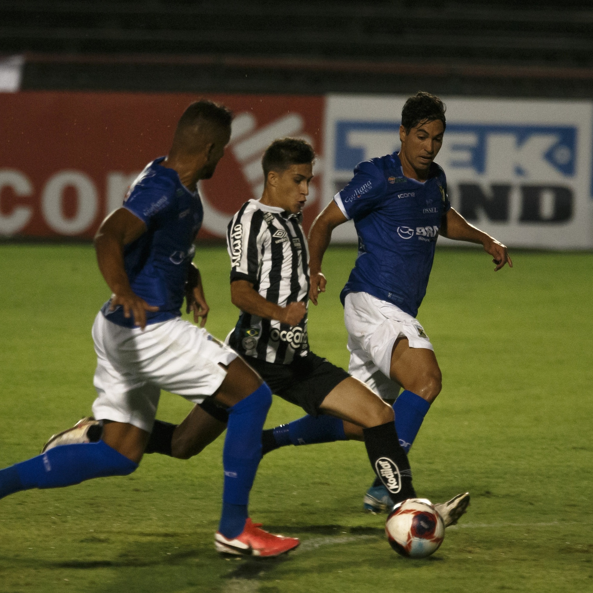 Botafogo-SP x Novorizontino: veja data, horário e onde assistir - Gazeta  Esportiva - Muito além dos 90 minutos