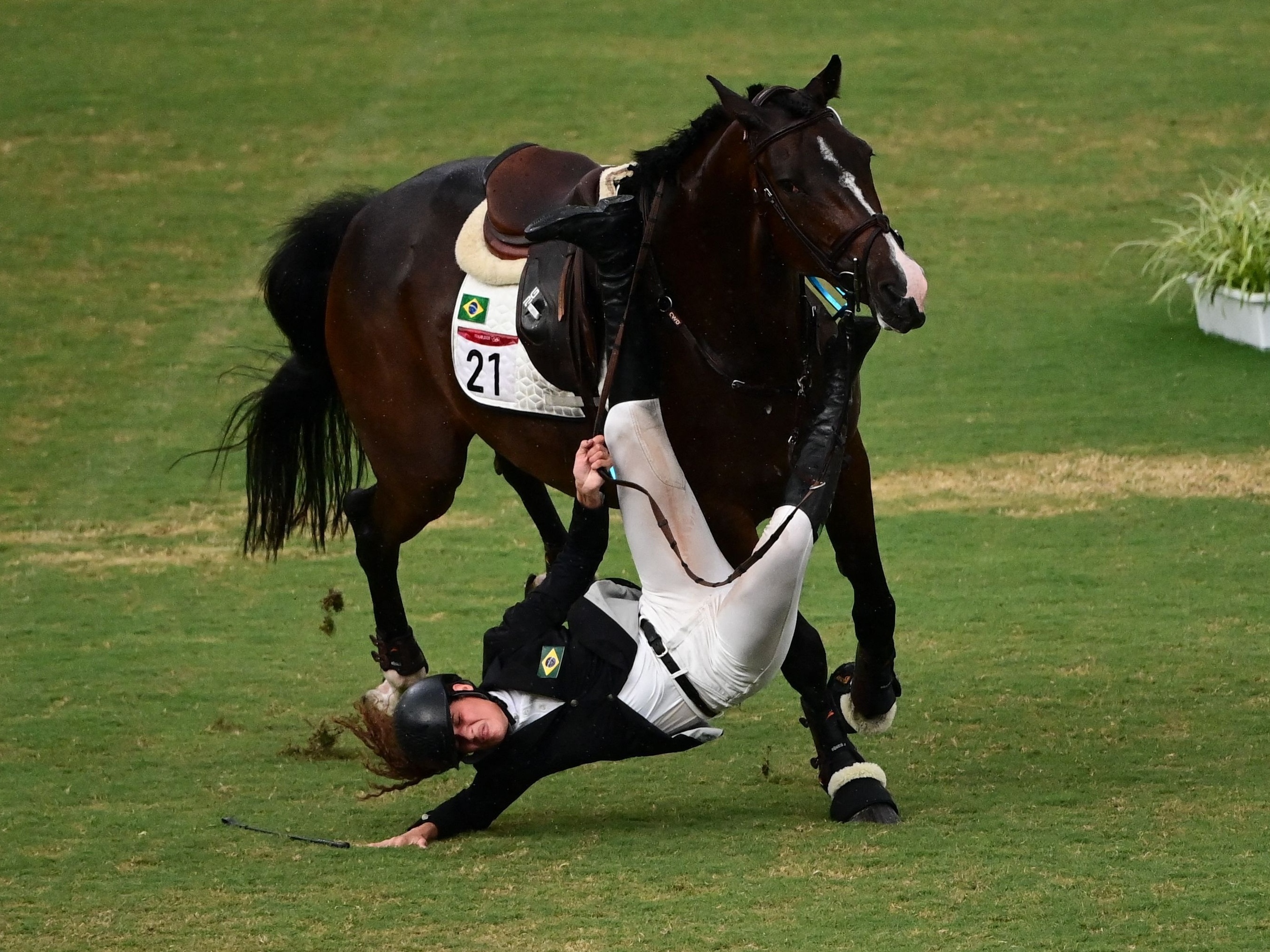 Cavalos atletas: conheça os nomes consagrados do hipismo na