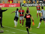 Gato invade Maracanã e rouba a cena em Flamengo x Grêmio; veja