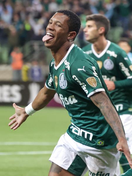 Danilo comemora seu gol pelo Palmeiras, na partida contra o Emelec-EQU, pela Libertadores - Marcello Zambrana/AGIF