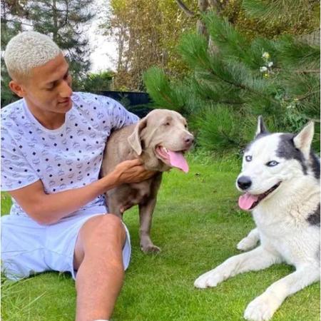 Richarlison ao lado de seus dois cachorros - Reproduçã/The Sun