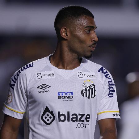 Joaquim, durante partida entre Santos e Palmeiras