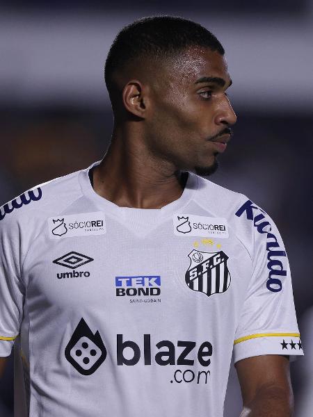 Joaquim, durante partida entre Santos e Palmeiras
