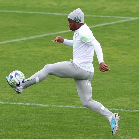 Endrick durante treinamento do Palmeiras nesta quinta-feira (15) - Cesar Greco/Palmeiras