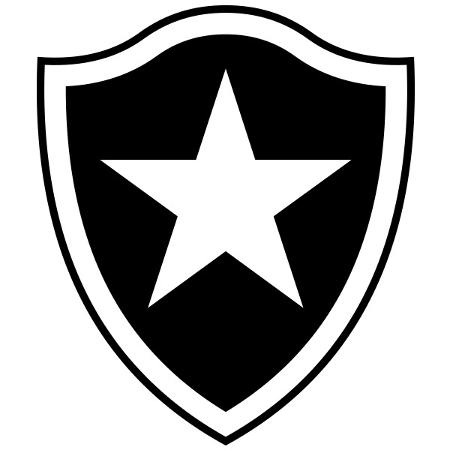 Botafogo de Futebol e Regatas tem um título internacional e 29 locais em sua história - ArteUOL