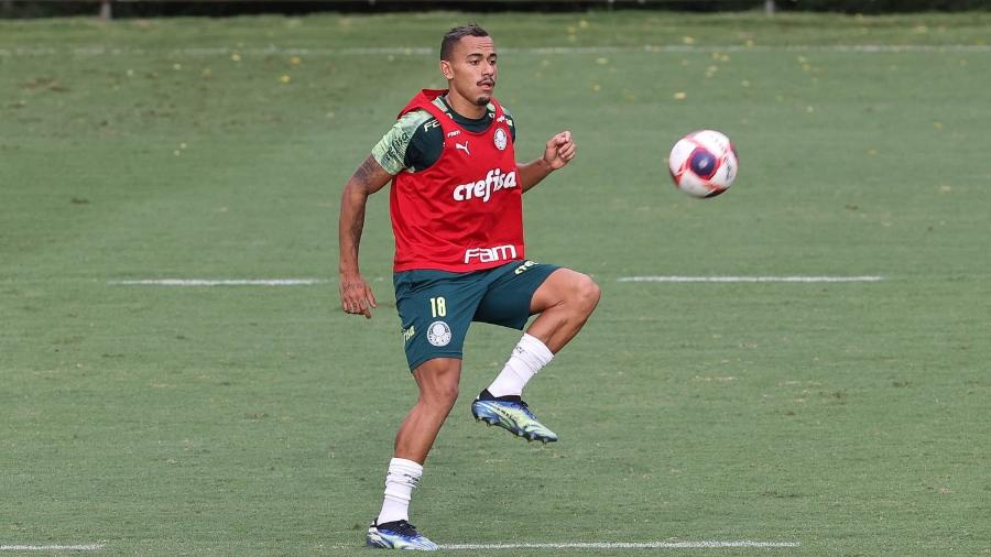 Papagaio retorna aos treinos do Palmeiras, na Academia de Futebol - Cesar Greco/Palmeiras