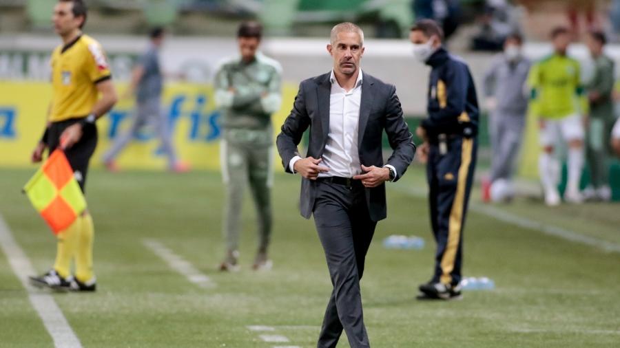 Técnico Sylvinho durante o jogo Palmeiras x Corinthians - Agência Corinthians