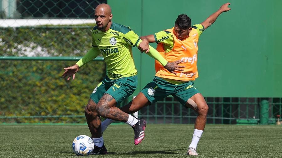 Felipe Melo e Rony durante treinamento na Academia de Futebol  - Cesar Greco/ Palmeiras 
