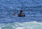 Tubarão ou golfinho? Ítalo Ferreira posta foto misteriosa em etapa de surfe - Reprodução / Instagram de Ítalo Ferreira (@italoferreira)