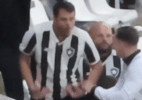 Torcedor do Botafogo imita macaco em direção à torcida do Palmeiras; veja - Reprodução / Instagram / @tossiro