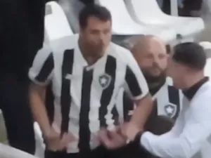 Torcedor do Botafogo imita macaco em direção à torcida do Palmeiras; veja