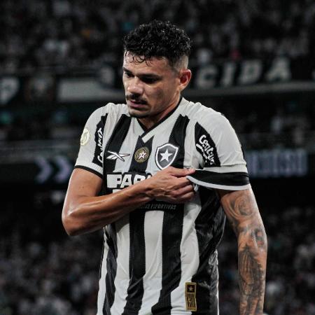 Tiquinho Soares, do Botafogo, foi expulso em jogo contra o Vitória pelo Brasileirão