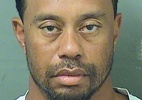 Exame de Tiger Woods acusa componente da maconha e mais quatro substâncias - Palm Beach County Sheriff