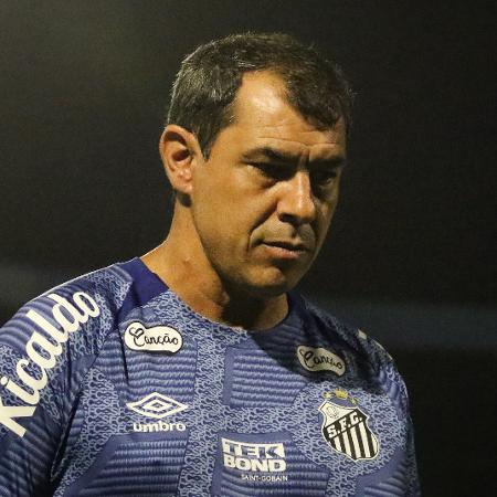 Fábio Carille, técnico do Santos, no jogo contra o Avaí, pela Série B