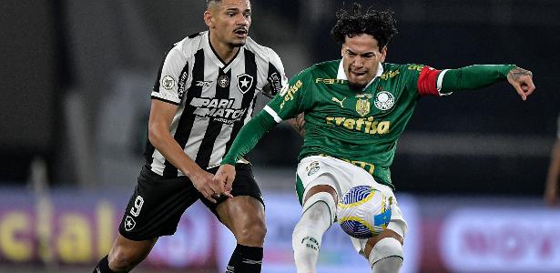 Transmissão ao vivo de Botafogo x Palmeiras: onde assistir o jogo de futebol.