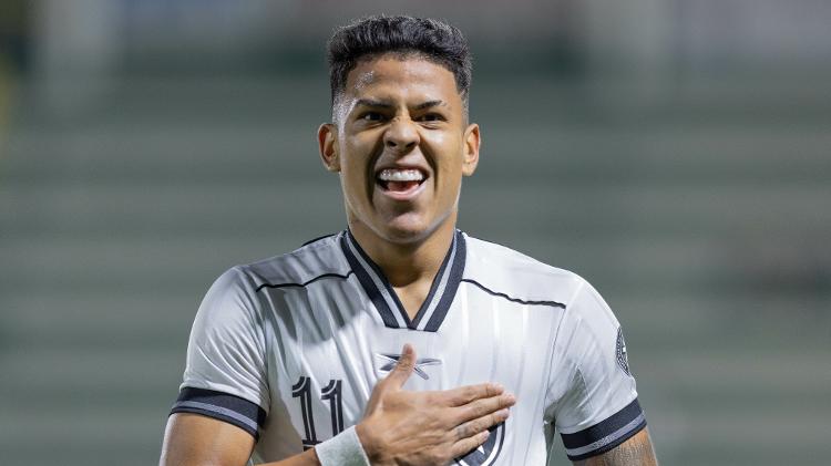 Matheus Martins comemora gol do Botafogo contra a Chapecoense