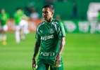 Palmeiras prevê reposição de peso para Estêvão; Dudu deve seguir sem espaço - Luiz Erbes/AGIF