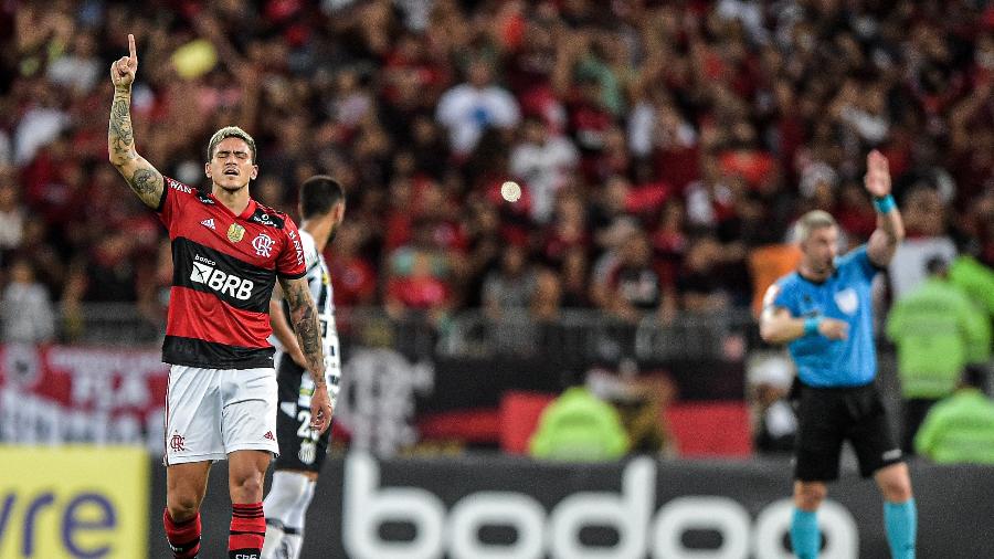 Pedro, do Flamengo, comemora gol que foi anulado contra o Santos - Thiago Ribeiro/AGIF