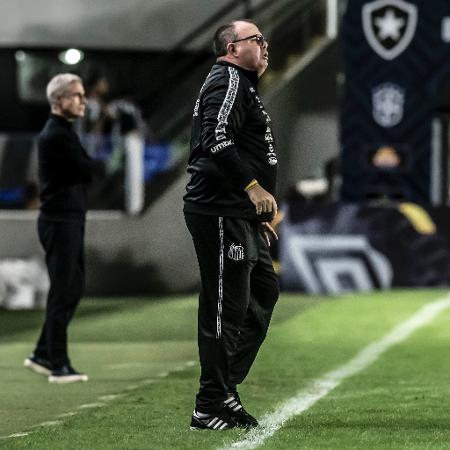 Marcelo Fernandes como técnico interino do Santos