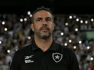 Botafogo x Bahia: onde assistir e horário do jogo do Brasileirão