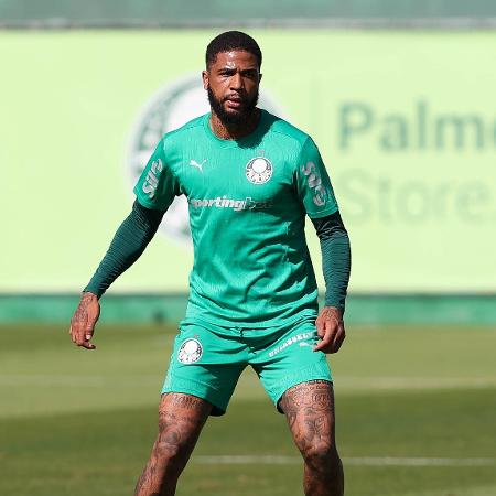 Micael está liberado para voltar a atuar pelo Palmeiras após lesão no tornozelo Micael está liberado para voltar a atuar pelo Palmeiras após lesão no tornozelo