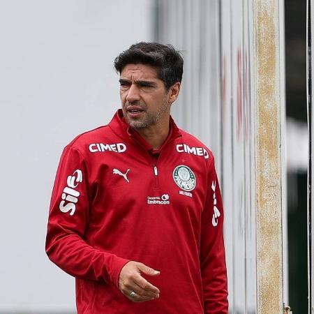 O Palmeiras usará as instalações do Albion Football Club O Palmeiras usará as instalações do Albion Football Club