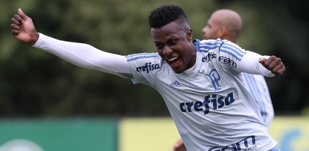 Cesar Greco/Ag. Palmeiras/Divulgação