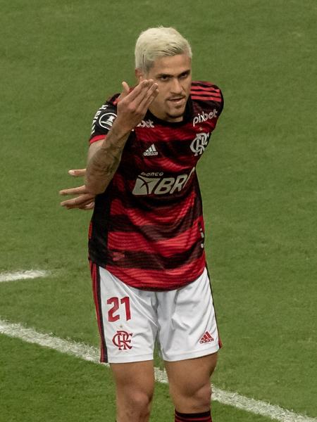 Pedro, do Flamengo, comemora gol contra o Vélez pela Copa Libertadores - MAGA JR/AGÊNCIA F8/ESTADÃO CONTEÚDO